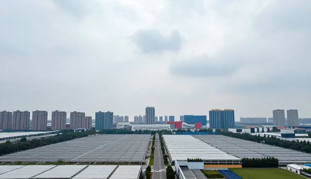 企业信息查询性能优化与适用场景解析